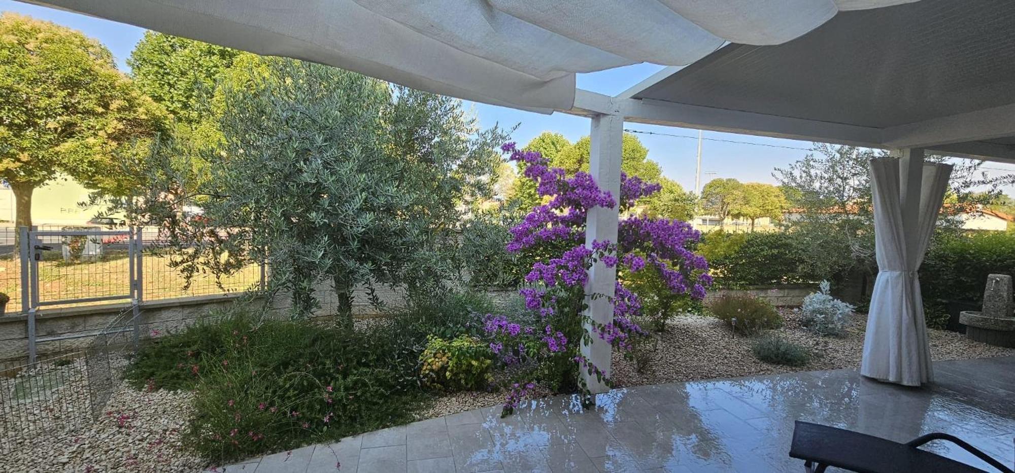 Apartman Magnolija Umag Buitenkant foto